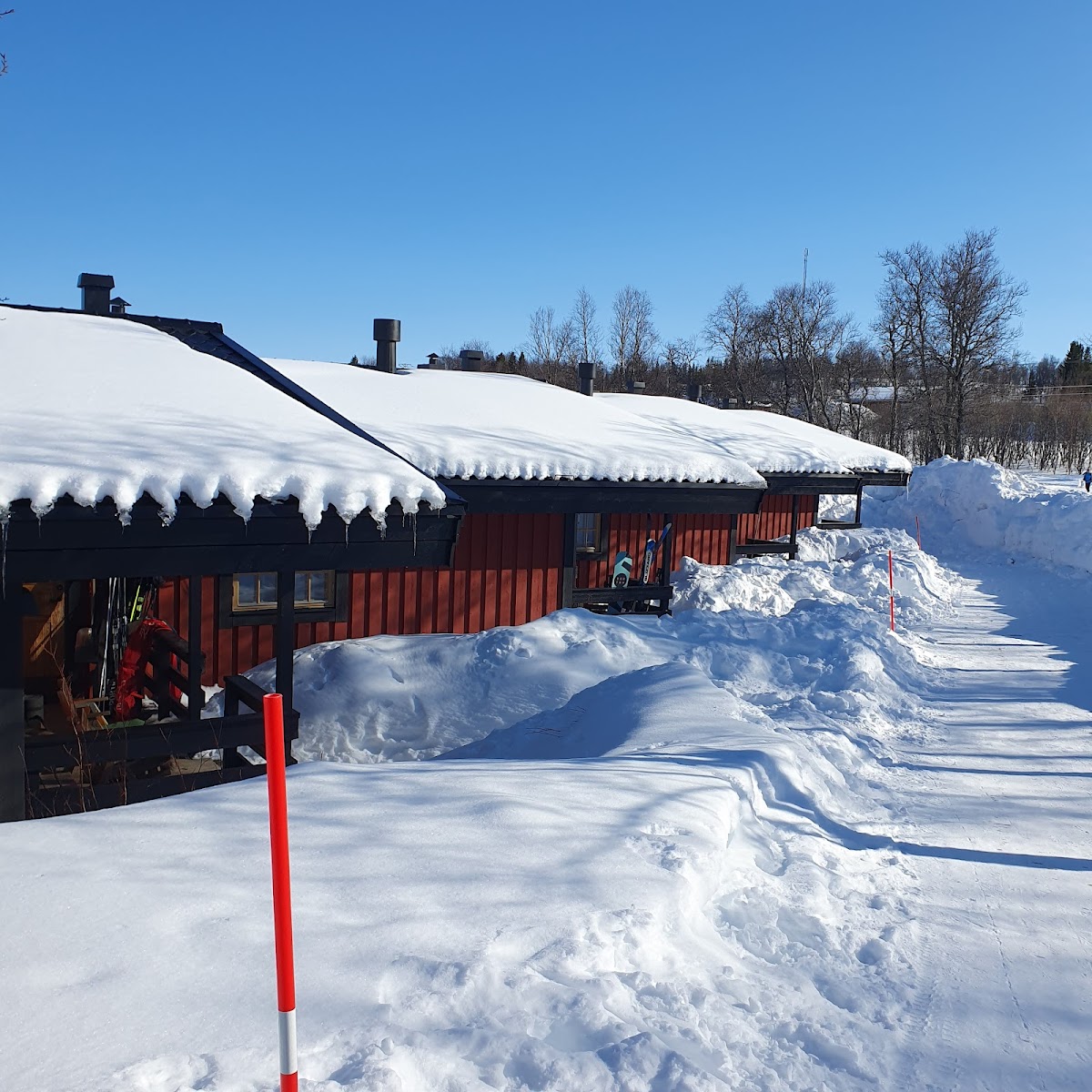 Fjall-Lien