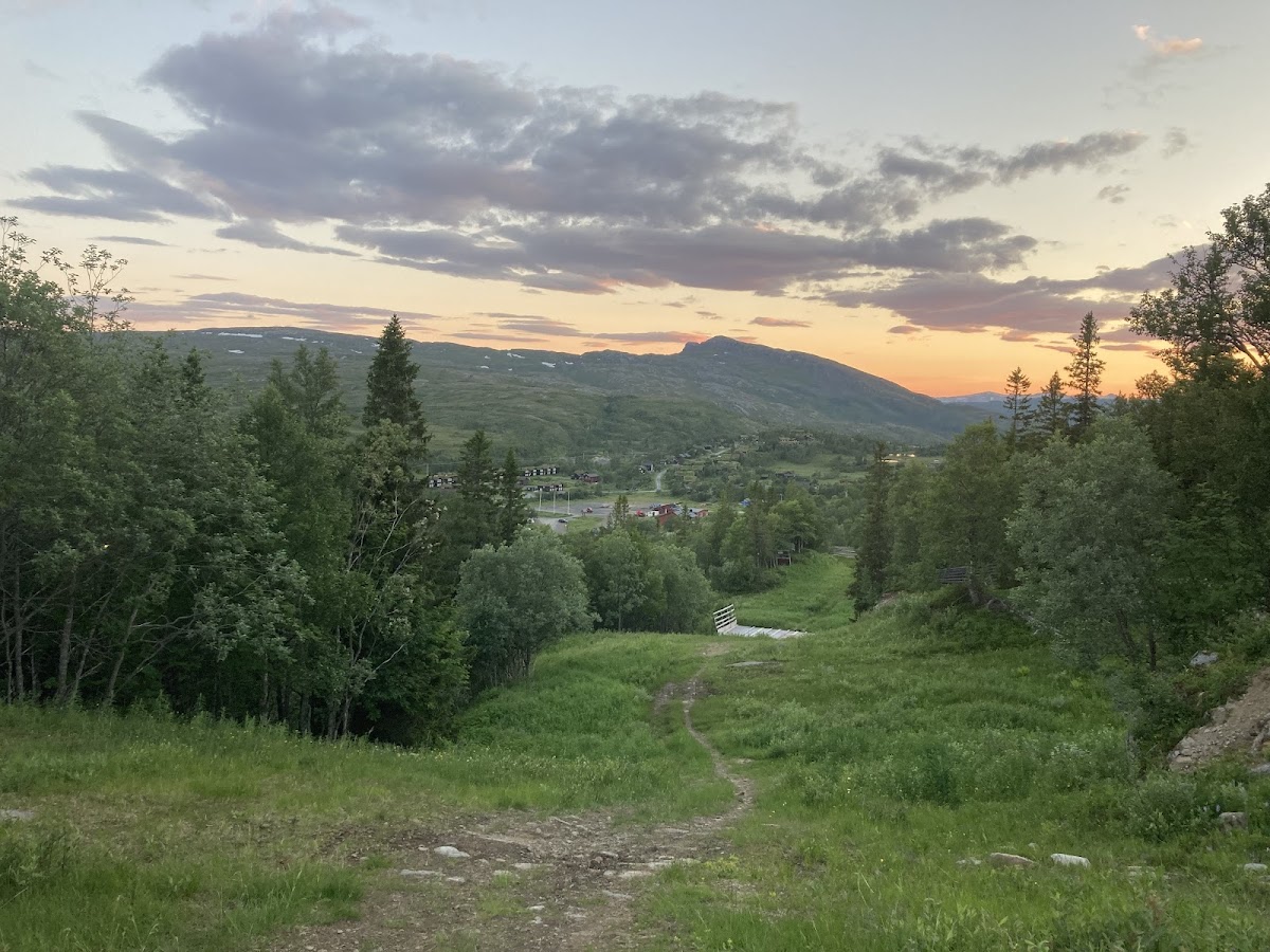 Fjall-Lien