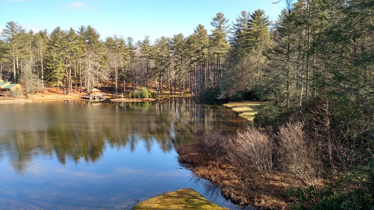 Foxhunt at Sapphire Valley