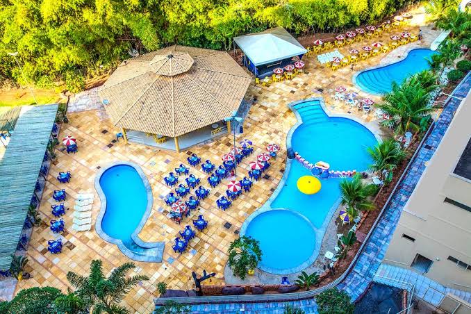 Golden Dolphin