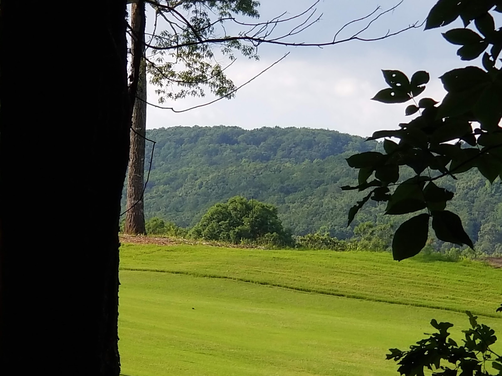 Golf Club Villas at Big Canoe