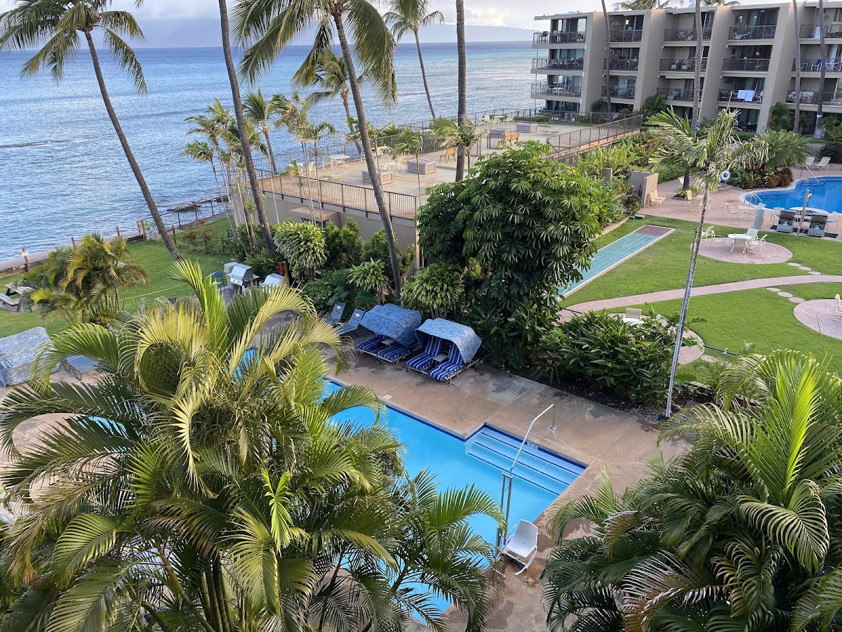 Hono Koa