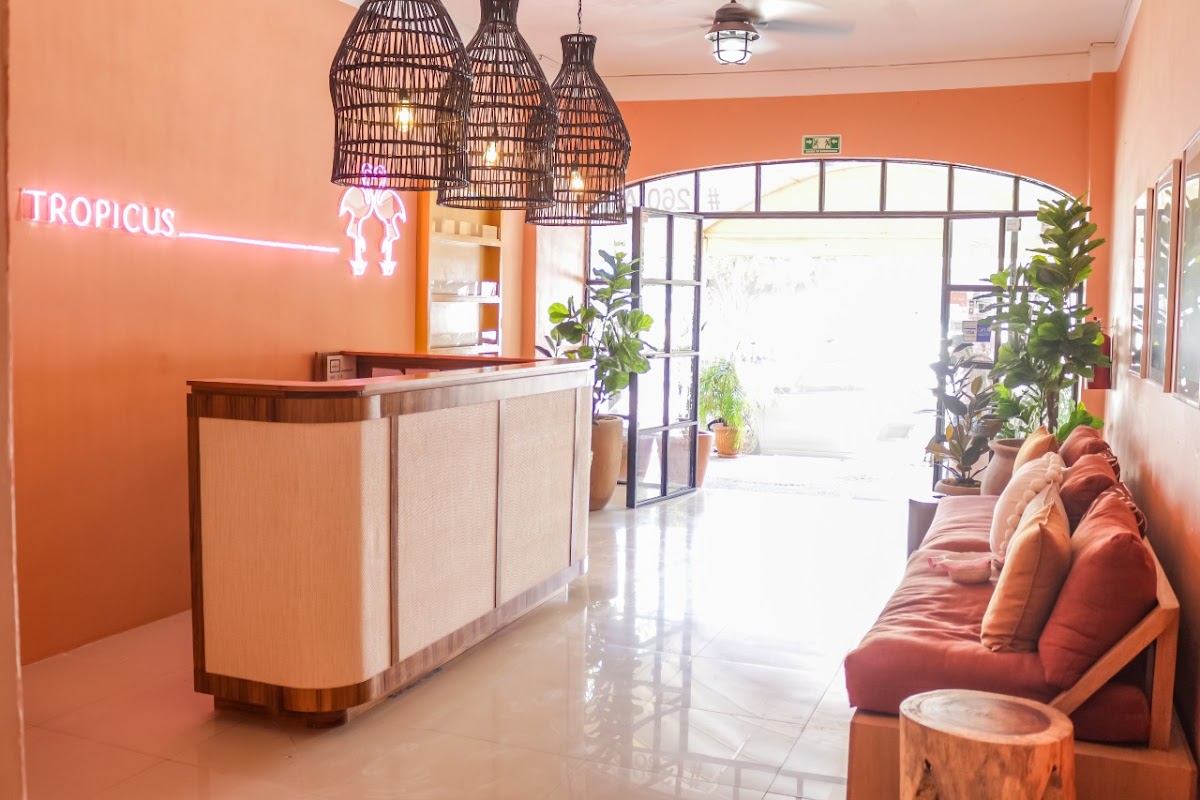 Hotel Boutique Tropicus