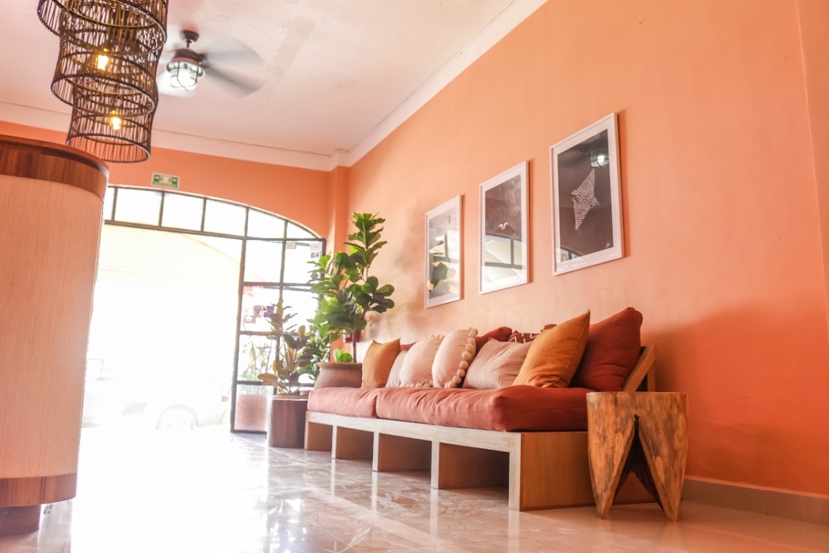 Hotel Boutique Tropicus