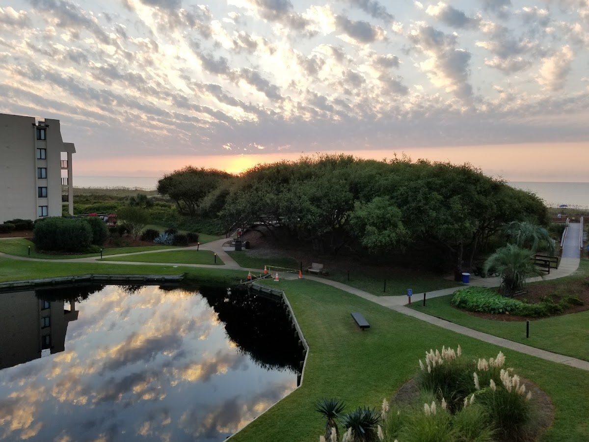 Island Club-Seawatch