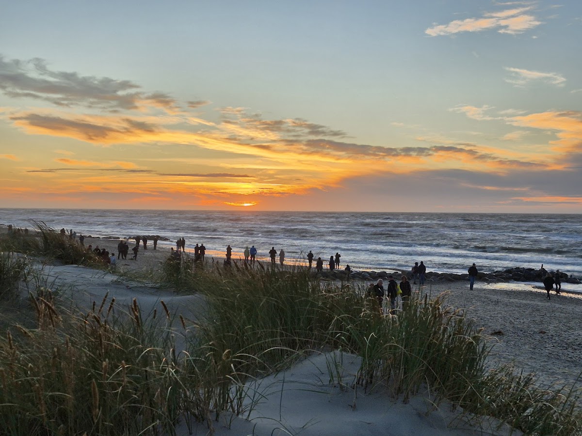 Jeckels Gammel Skagen
