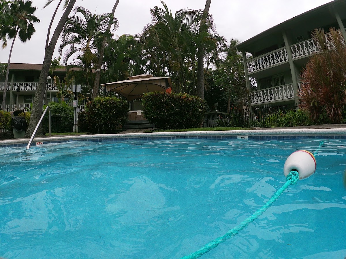 Kona Islander