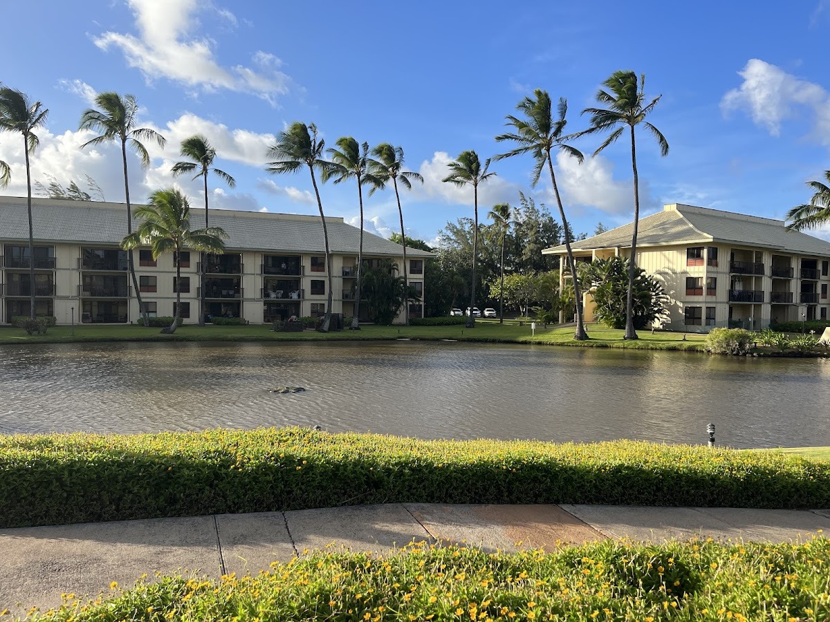 Mrop at Kauai Beach Villas