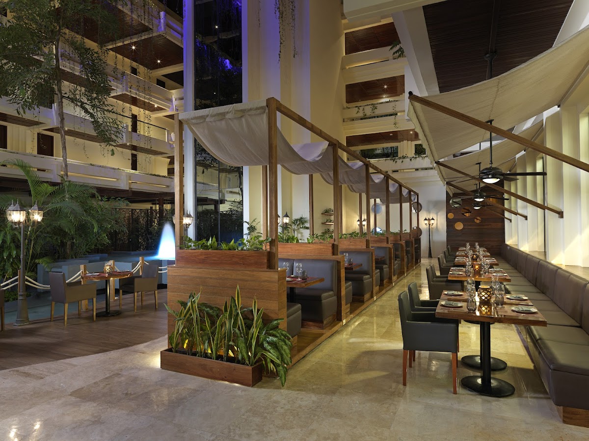 Mvc at Paradisus Cancun