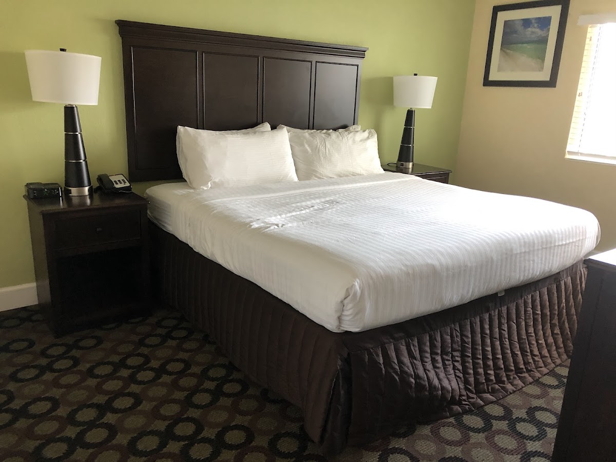 New Hotel Collection Harbourside Resort