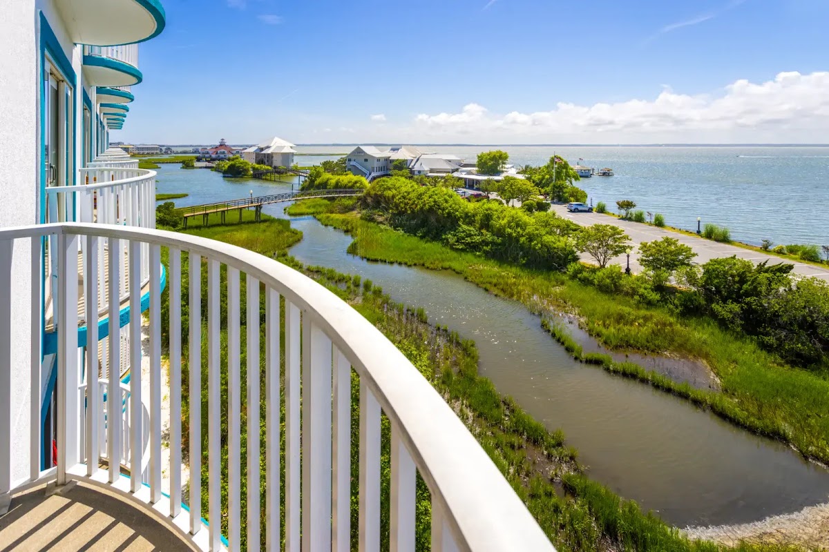 Ocean City Coconut Malorie