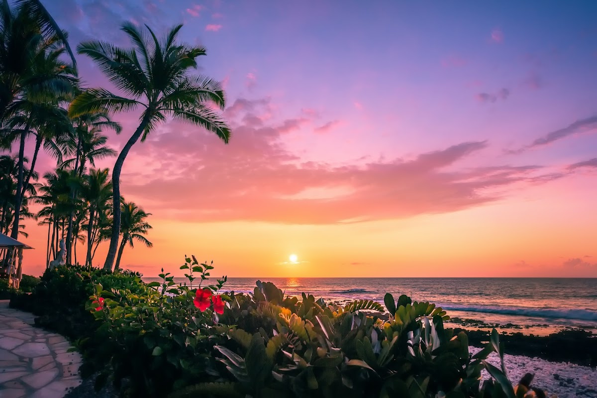 Ocean Tower Vacation Suites