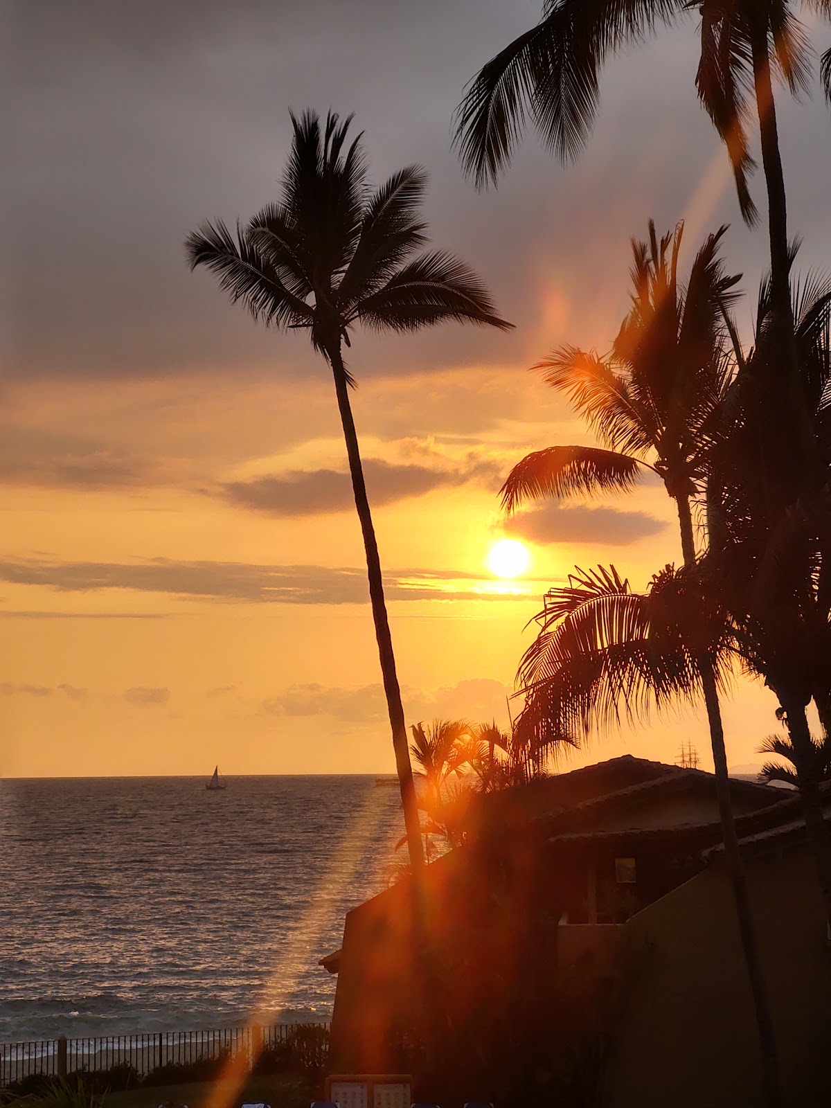 Park Royal Homestay los Tules Puerto Vallarta