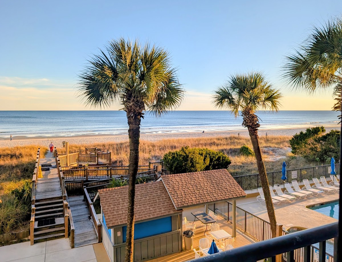 Peppertree by the Sea