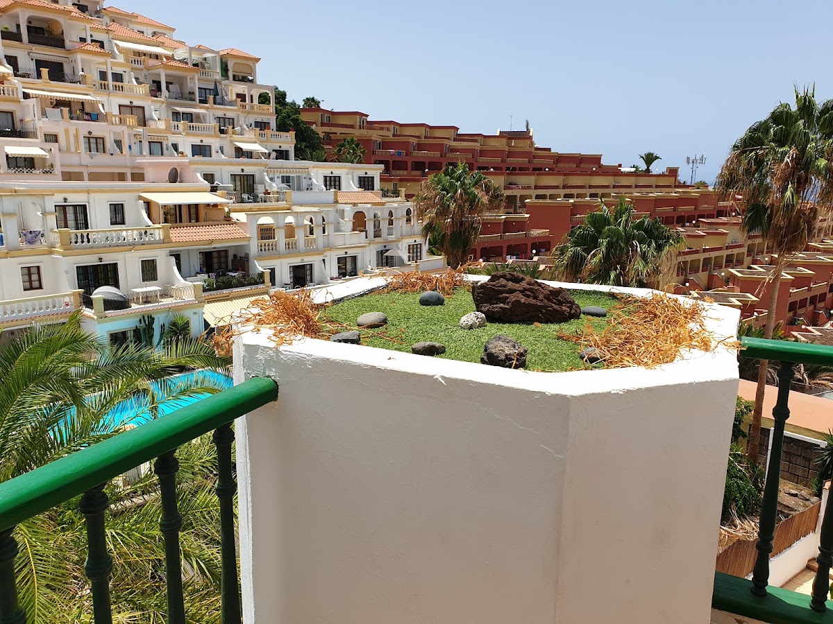 Regency Heights at Neptuno