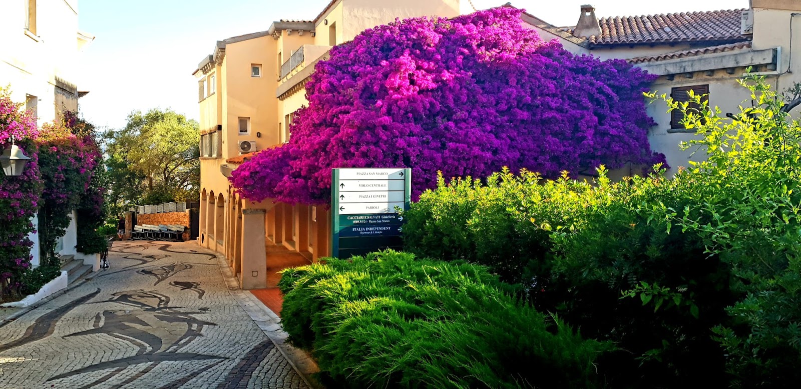 Residenza Bouganville - Italy
