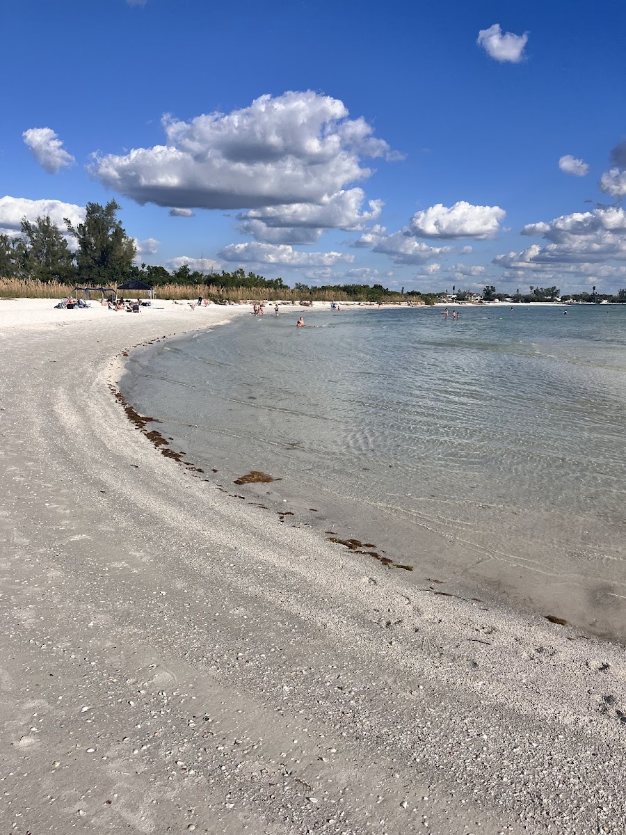 Sarasota Sands
