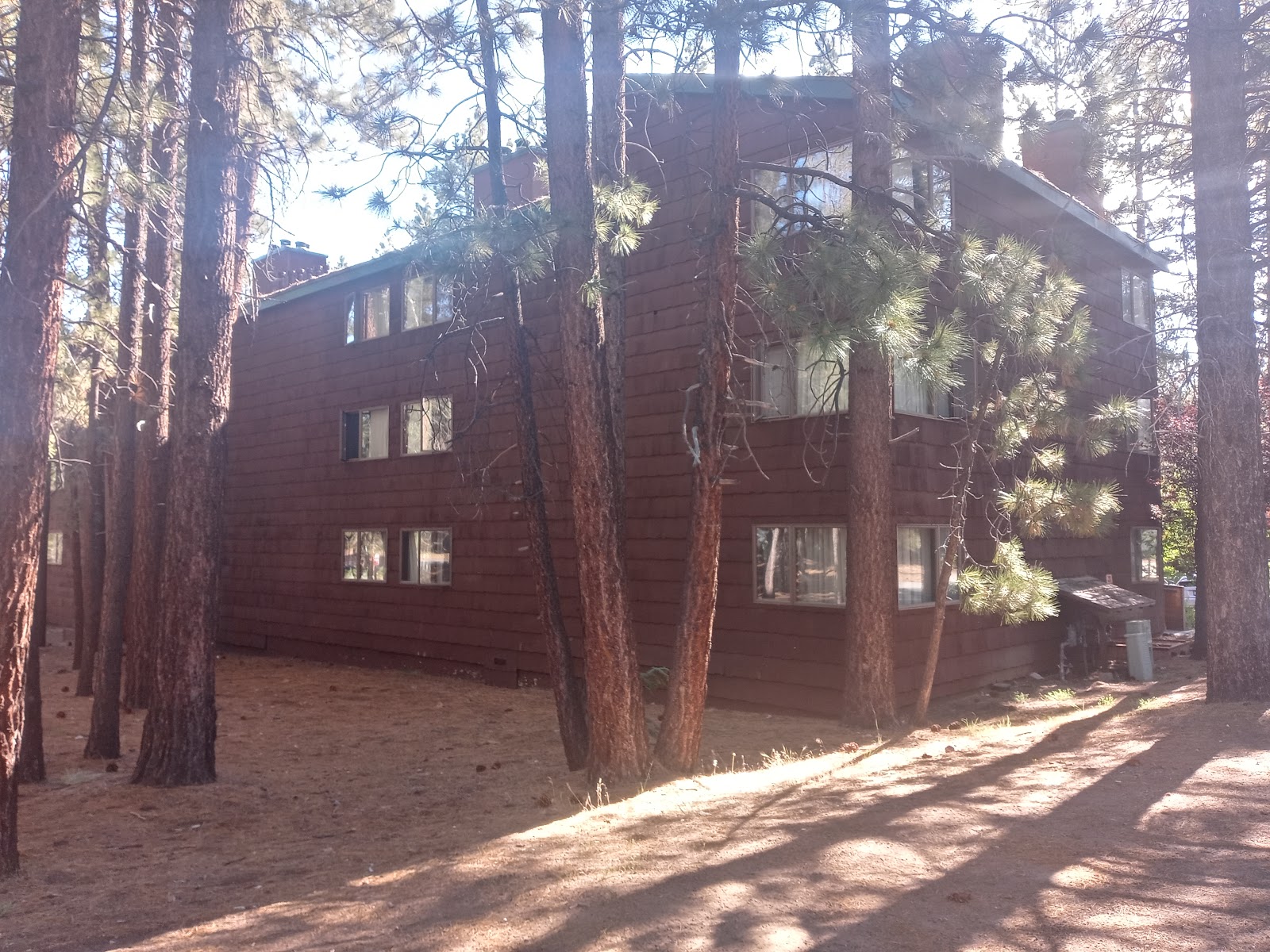 Snow Lake Lodge