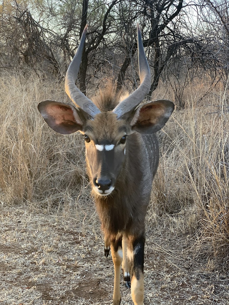 Sondela Nature Reserve