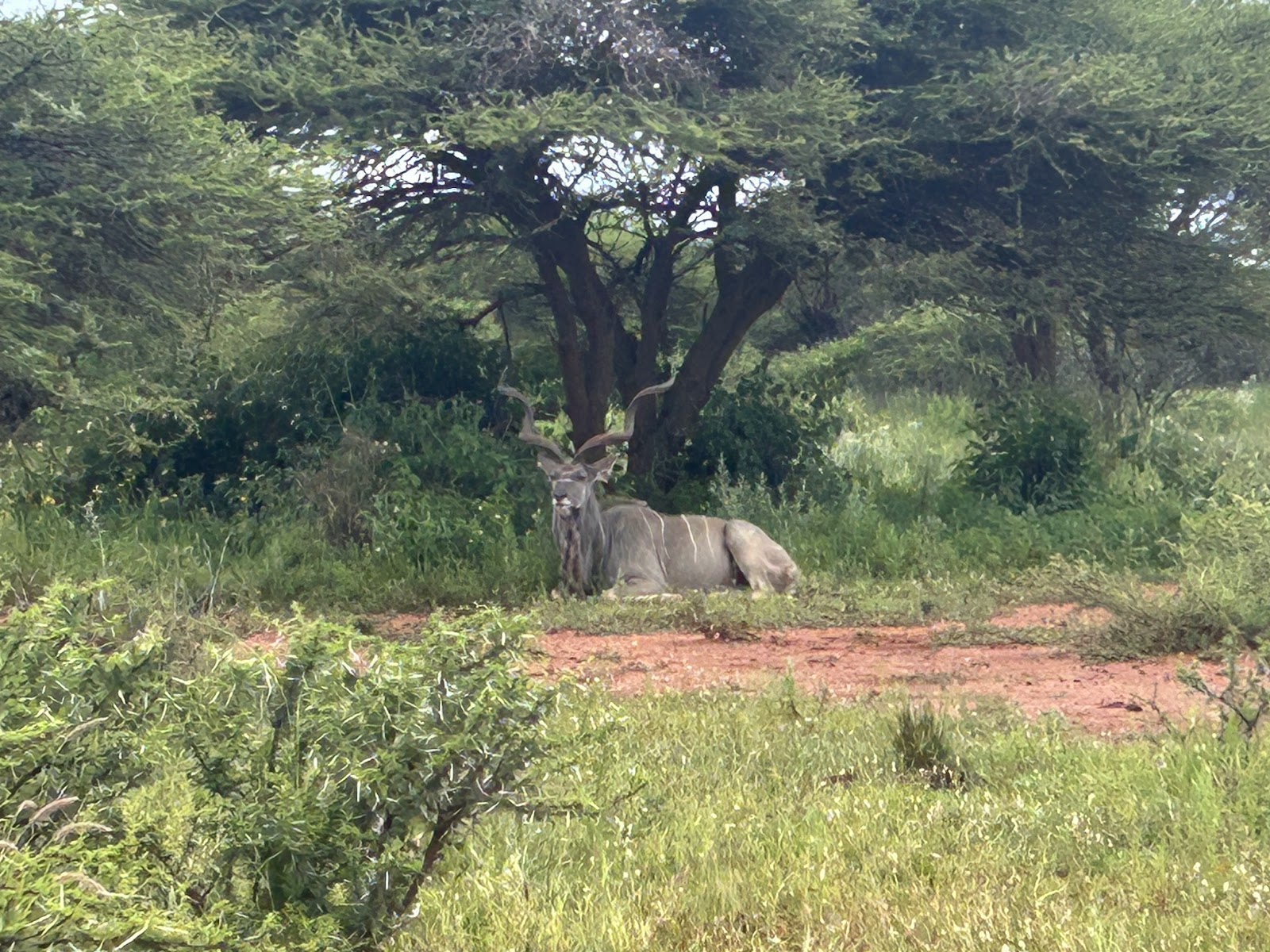 Sondela Nature Reserve