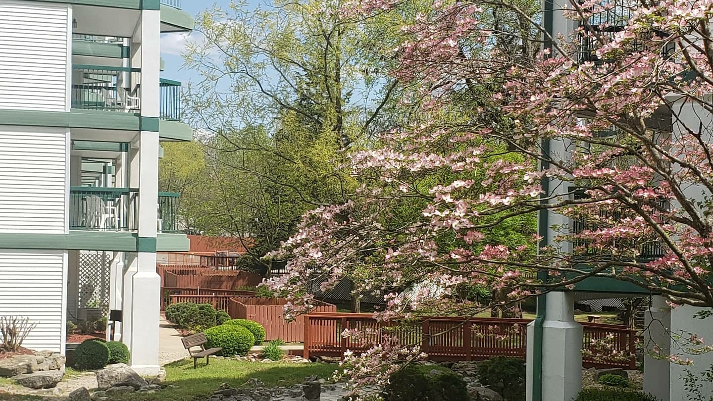 Surrey Vacation Resort - Carriage Place