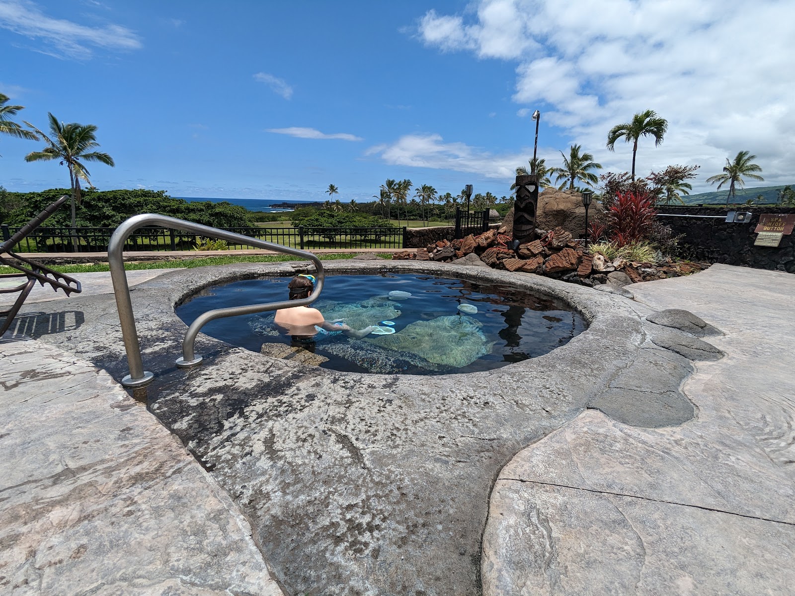 Vacation Internationale Sea Mountain