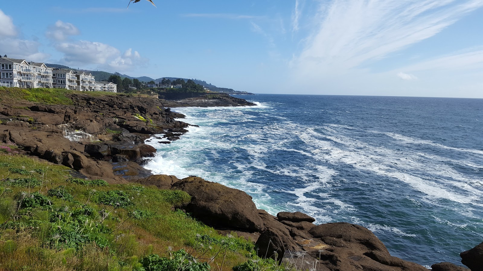 Whale Pointe