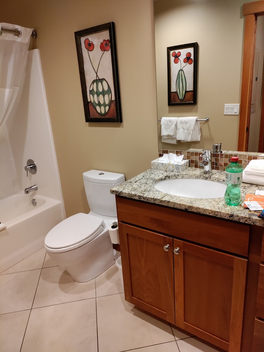 Worldmark Chelan - Lake House - United States