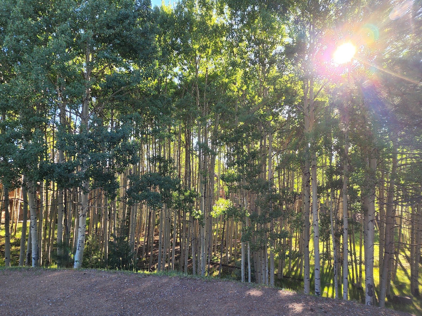 Angel Fire Cabin Share Phase I