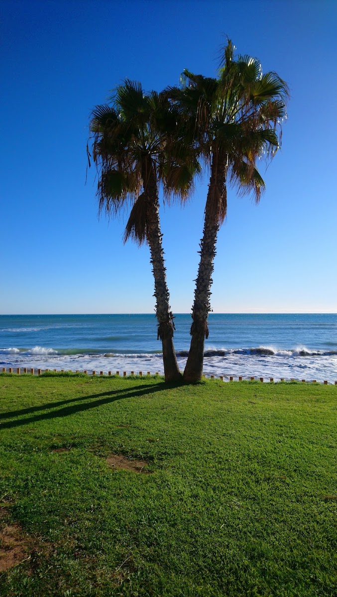 Apartamentos el Cano - Spain