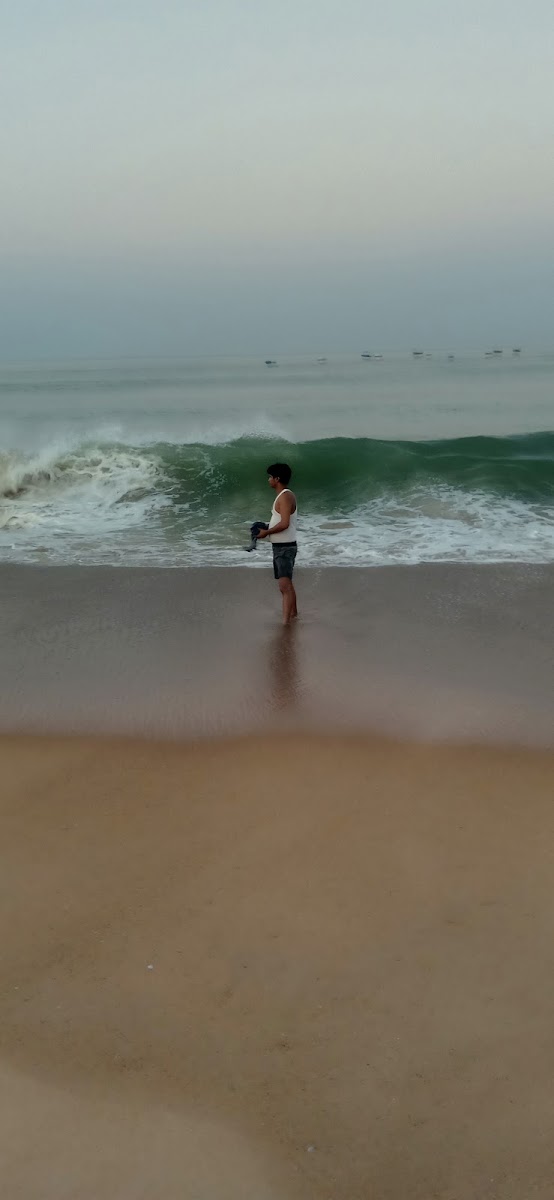 Averina Beach Mobor Beach Cavelossim Salcette - India