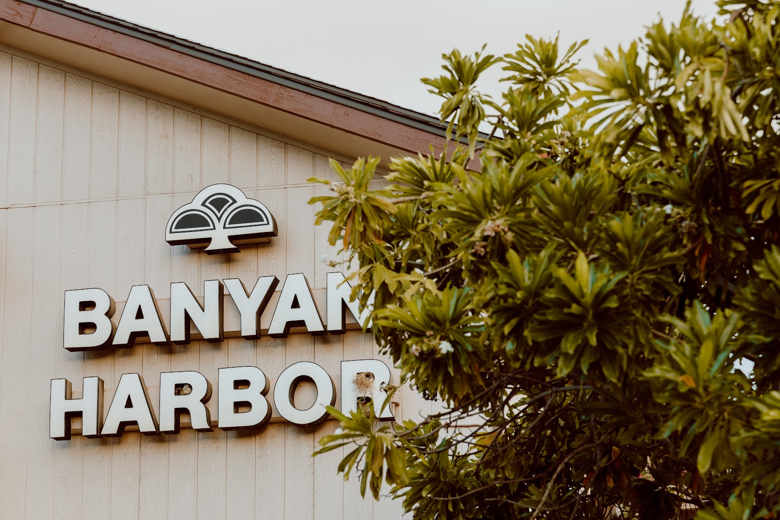 Banyan Harbor