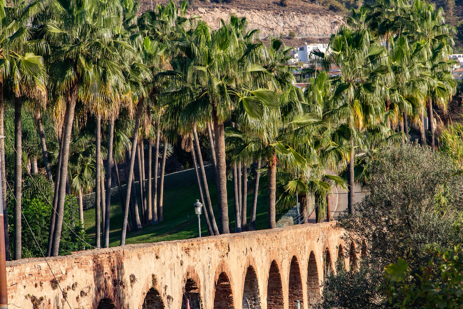 Club Oasis at el Capistrano Nicosol S.L.