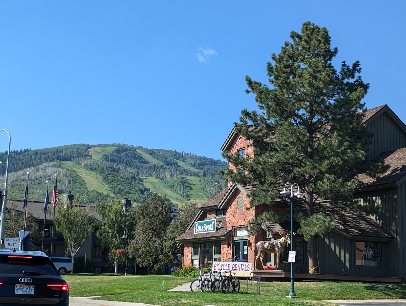 Club Park Avenue