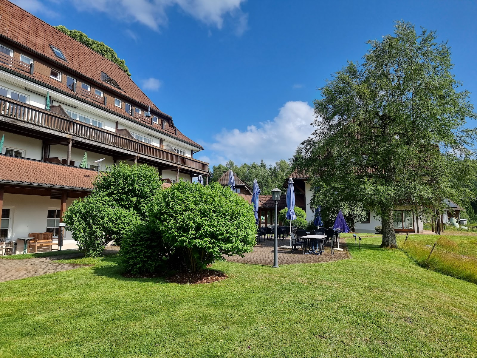 Erlenbruck