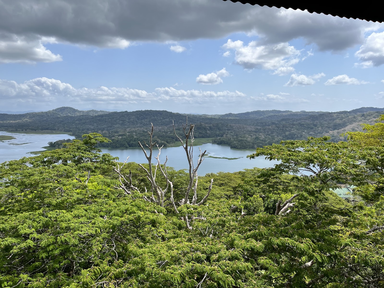 Gamboa Rainforest Resort at Panama Canal Poblado de Gamboa