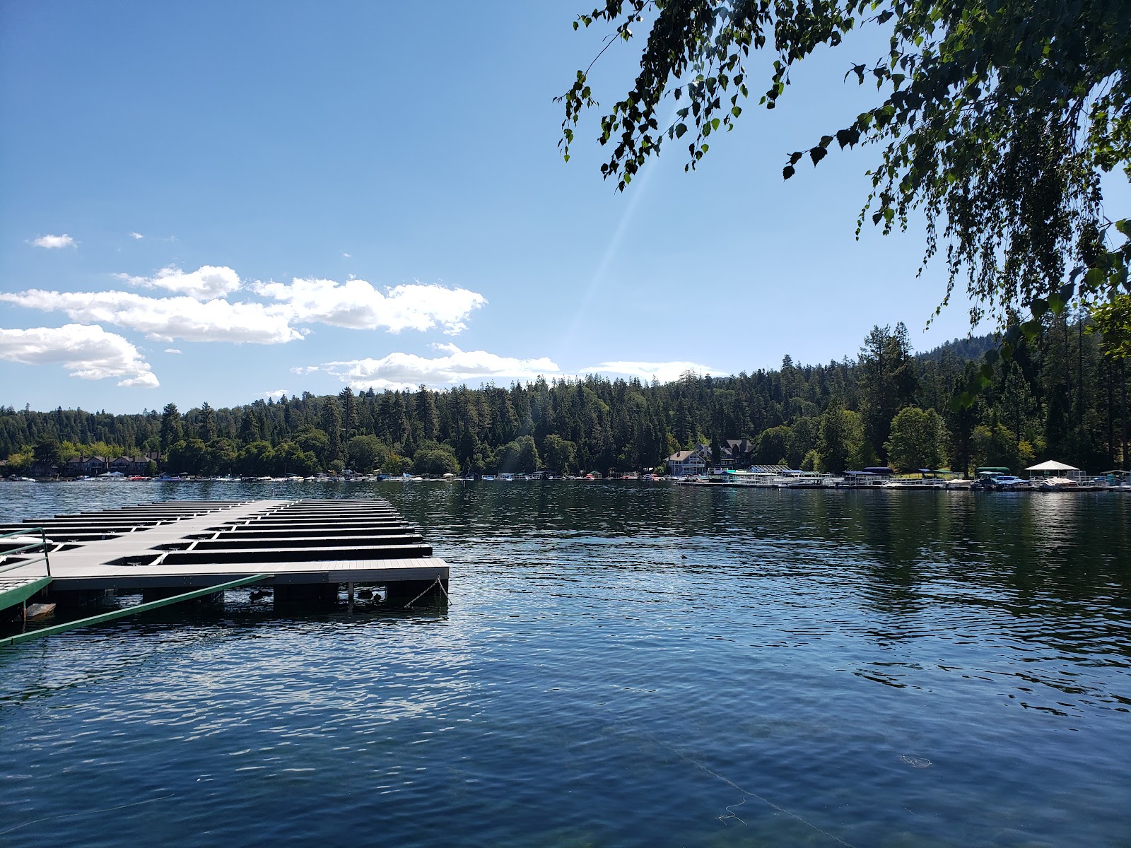 Lake Arrowhead Chalets