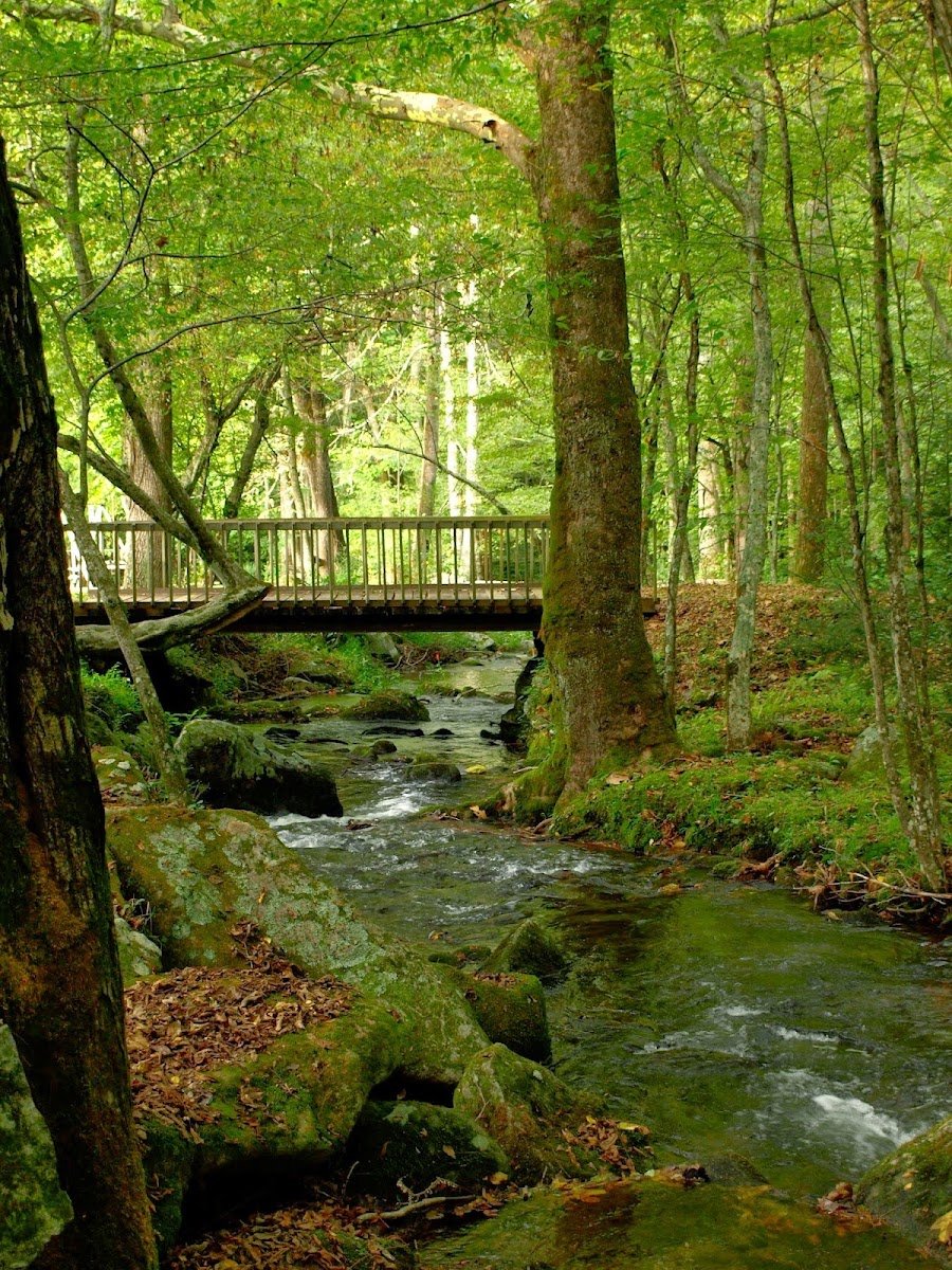 Laurel Springs Resort