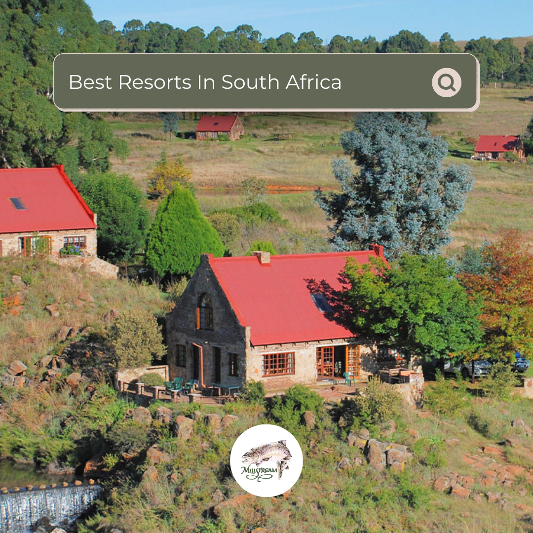 Millstream Belfast Rd. To Dullstroom Dullstroom