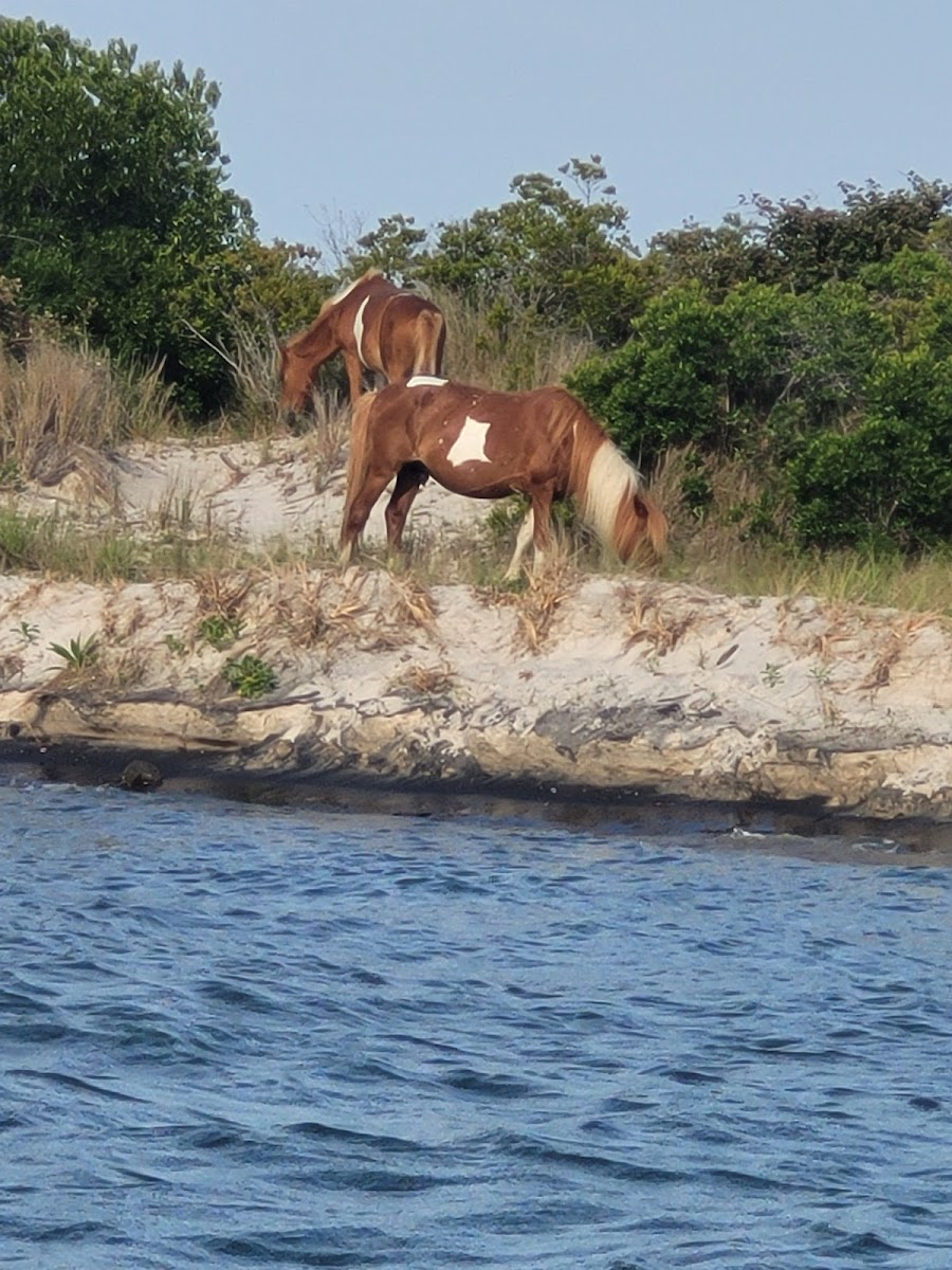 Ocean Time