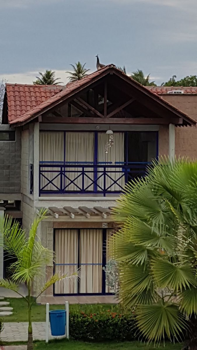 Palmacaoba Condominio