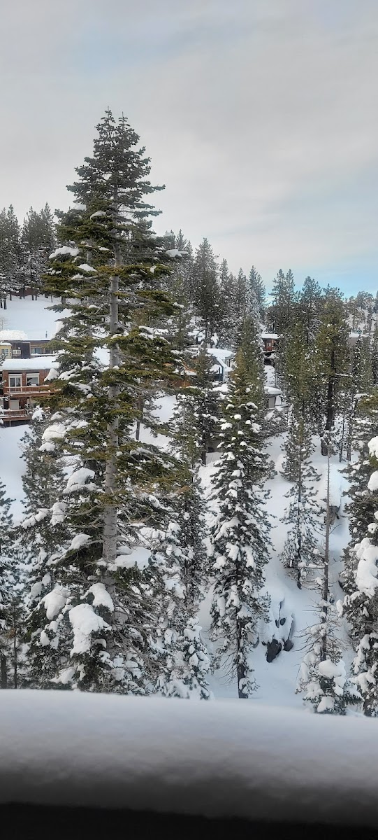 Perennial Vacation Club at Tahoe Village