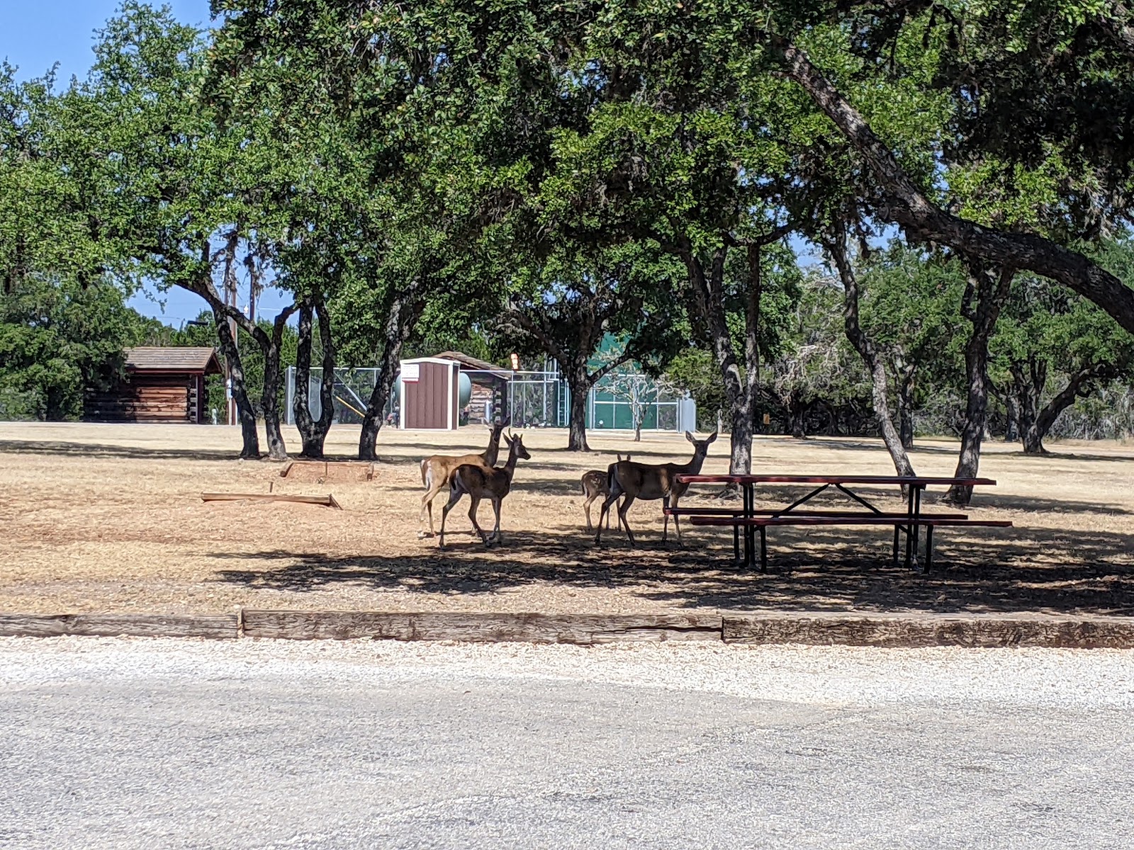 Perennial Vacation Club at Bandera