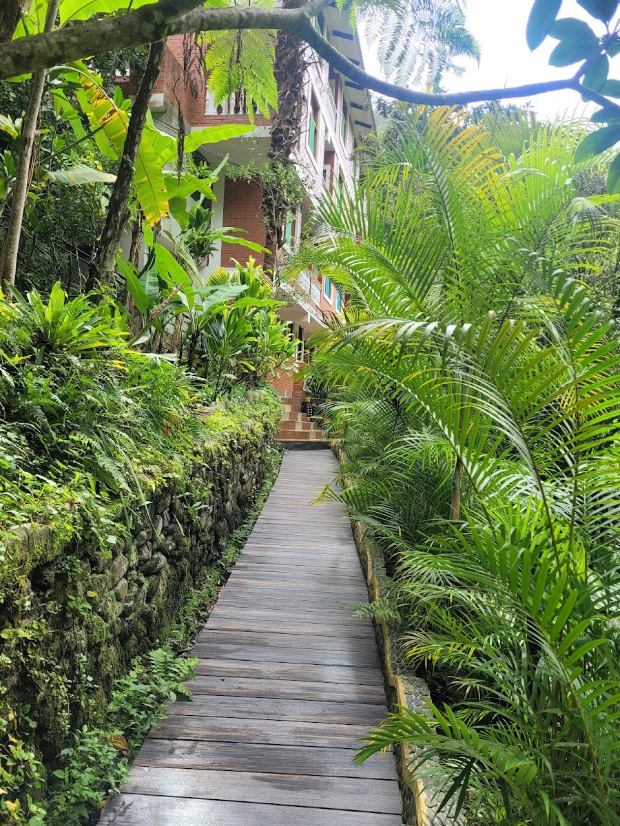 Río Selva Resort