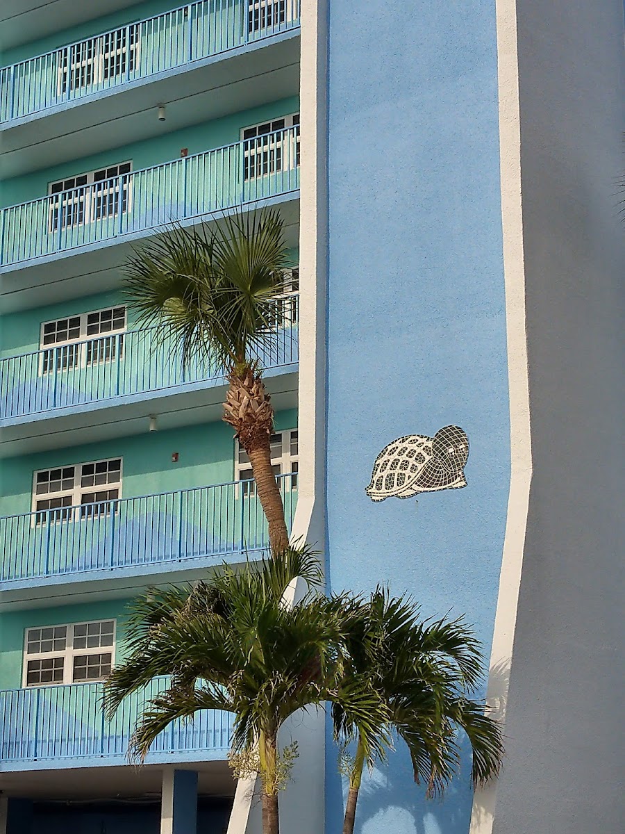 Sapphire Resorts @ Turtle Reef
