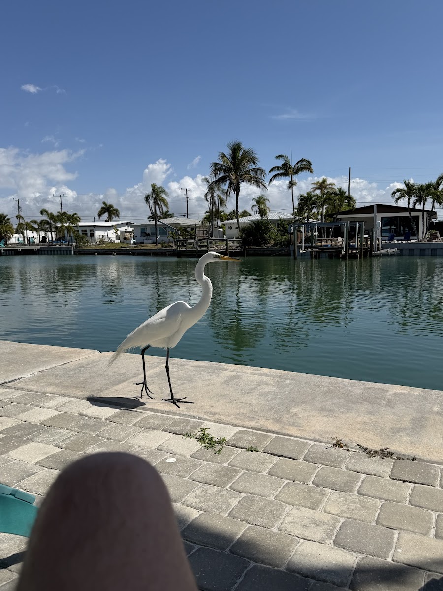 Sea Side Beach Club