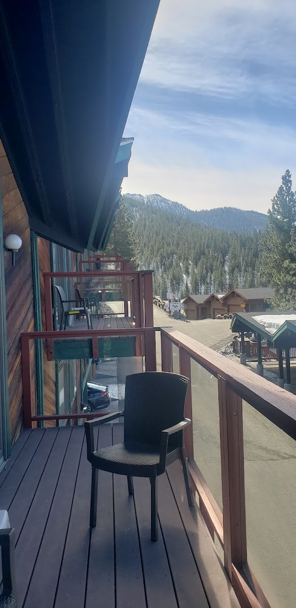 Tahoe Chaparral