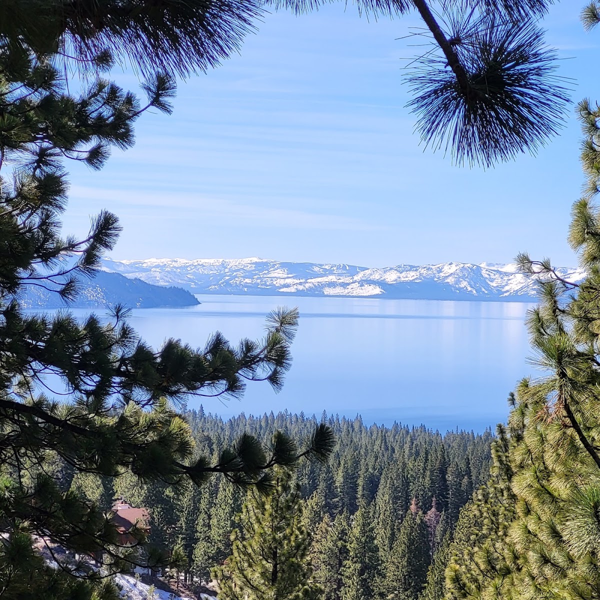 Tahoe Chaparral