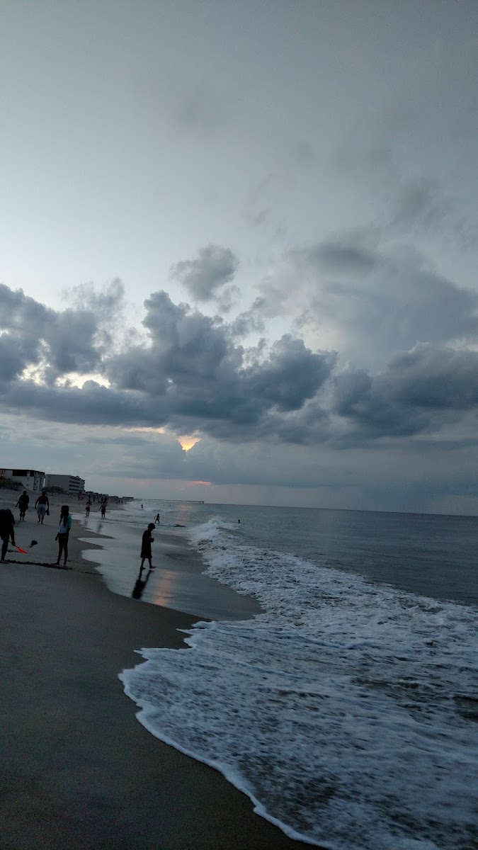 The Golden Strand