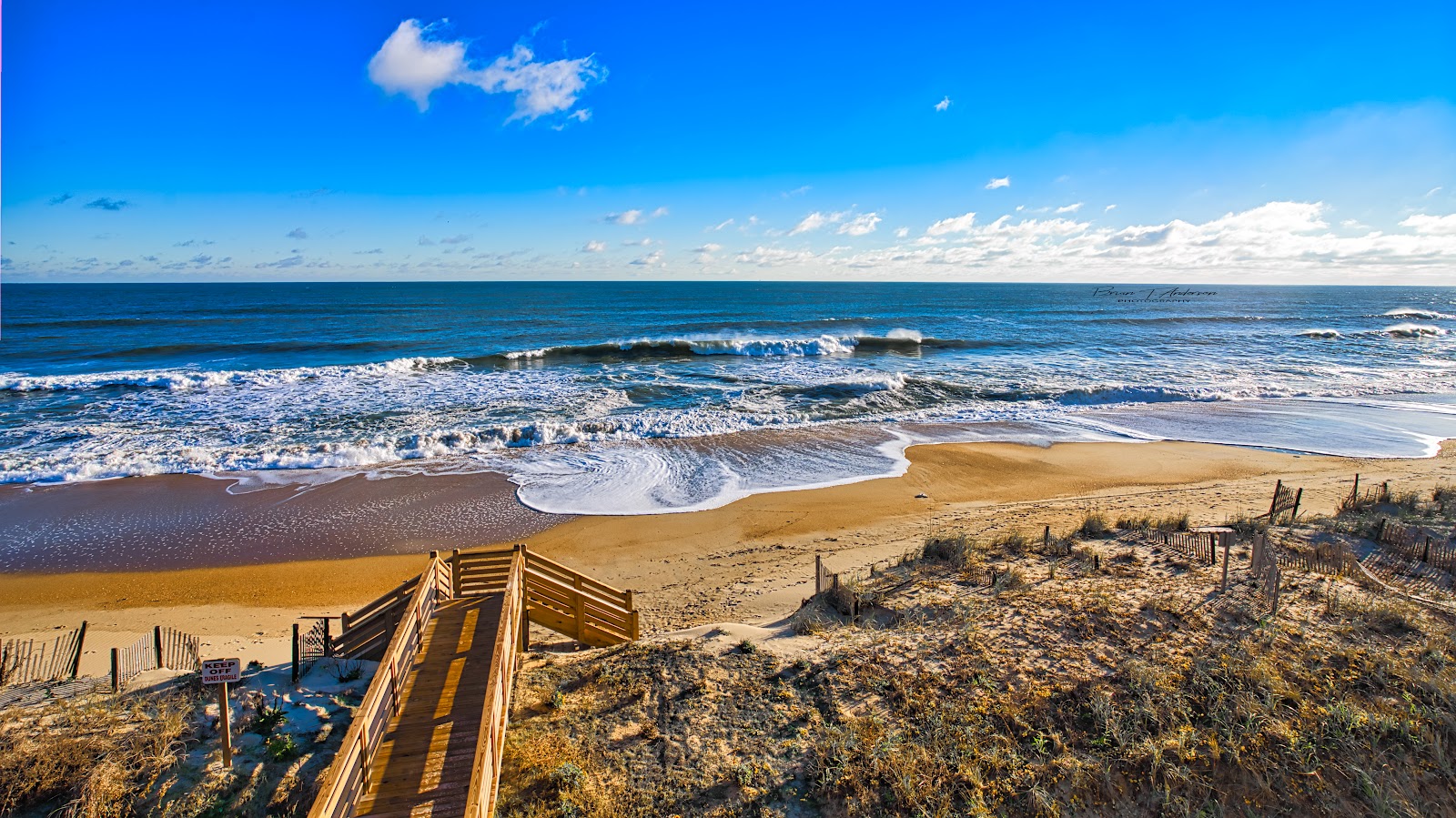 The Golden Strand